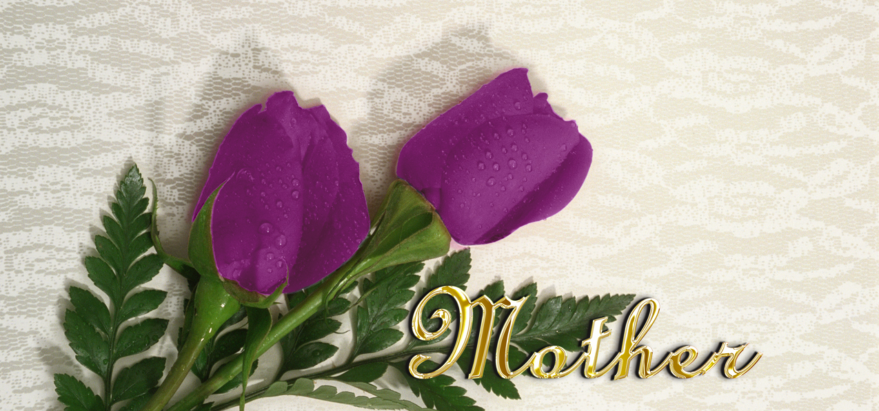 P 053 M GD 2 Roses Orchid Mother Gold Text